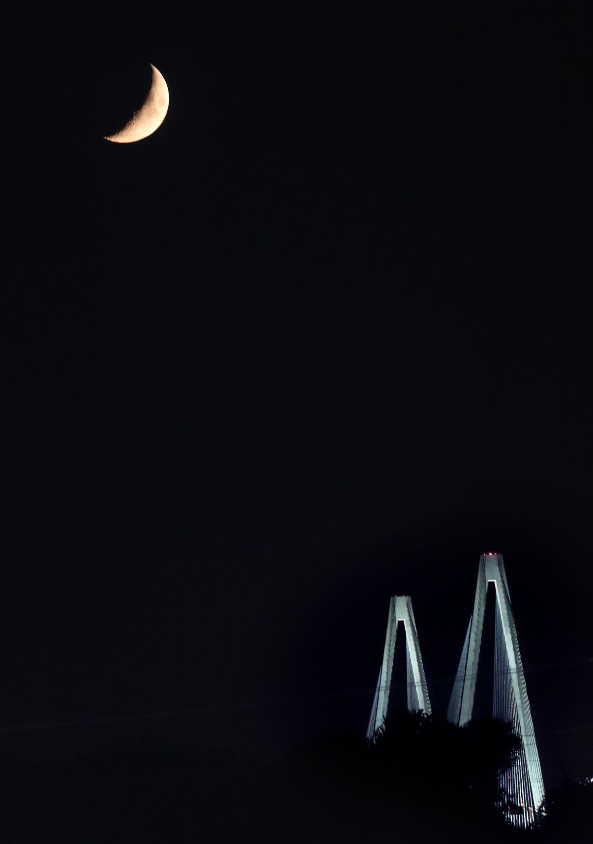 The Stan Musial Veterans Memorial Bridge